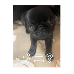 rina_20211209211008