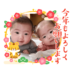 haru-tuki