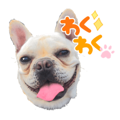 INAMINE_20211209220032