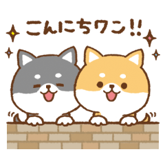 Cute !Shiba Inu to use everyday02