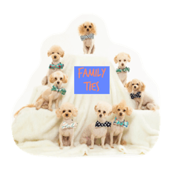 Eight Dogs -2015/2016-