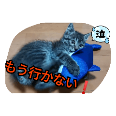 Moto猫スタンプ４(ジロー)