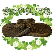 MIRACHANTONAKAMATACHI Sticker