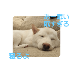 chie_20211210033939
