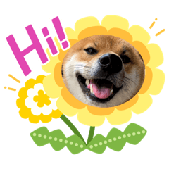 Himawari_20211210123740