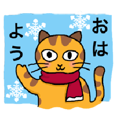 Tabby cat Tora-chan! 2 (winter)