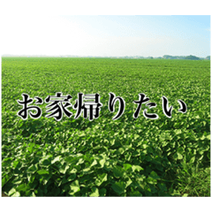 aoi_20211211000150