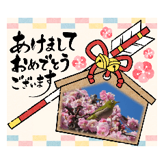 hana_20211211002547