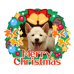 chie_20211211024000