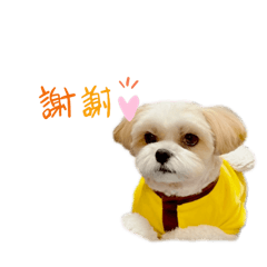 ayumi_20211210224329