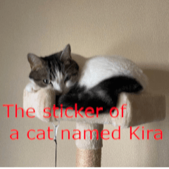 Sticker of a cat named Kira in my house