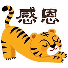 Cute tiger is coming