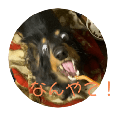 ayumi_20211211122141