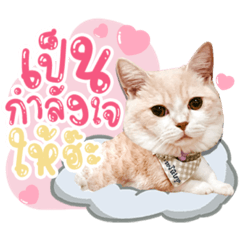 Iamnook_20211211065240