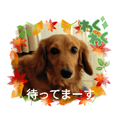 junko_20211211135021