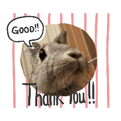 JUNKO_20211211134907