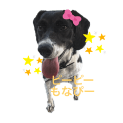 yuka_20211211151701