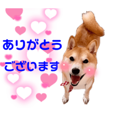 NATSUMI_20211211160626