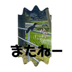 akiko_20211211174244