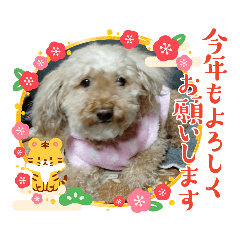 miyoko_20211211201459