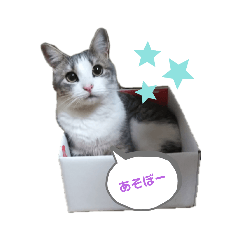 SAYA_20211211212425