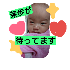 mapo