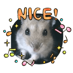 yamada_20211211224901