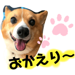 コーギー Lineクリエイターズスタンプまとめ Stamplist コーギー Lineクリエイターズスタンプまとめ Stamplist