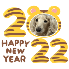 nene_lala_happy_new_year