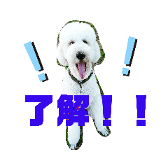 JACK_20211212095601