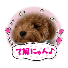 Yuina_20211212100824