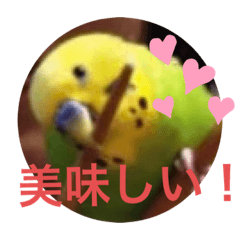 yuka_20211211214258