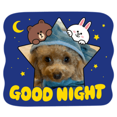 rina_20211211225120