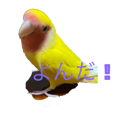 p!_20211211215406