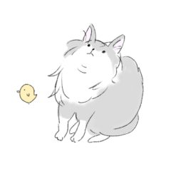 Cat Sticker : Shirasu