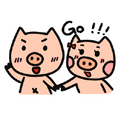 Pig couple sweet daily