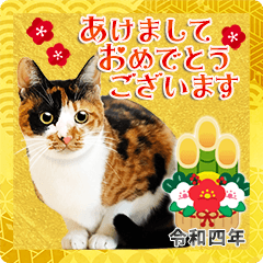 New Year's greetings with cat photos