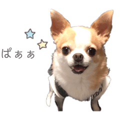 Saya_20211212170345