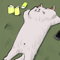 NYASU THE ULTRA CAT