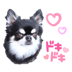 yun_20211212170558
