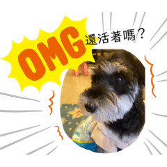 五號妹妹の成長日記2