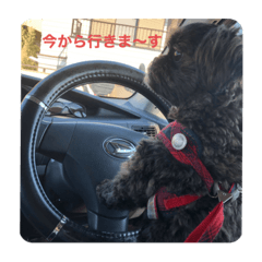 mocomoco_20211212194402