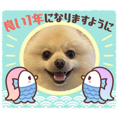 Hana_20211212