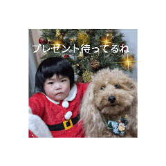 yun_20211212220158