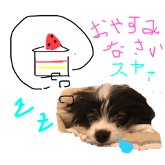 risa_20211212231129