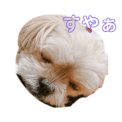 chihiro_20211212234948