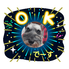 kai1016_20211213112834