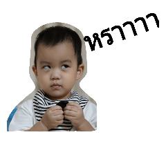 TeamP – LINE stickers | LINE STORE