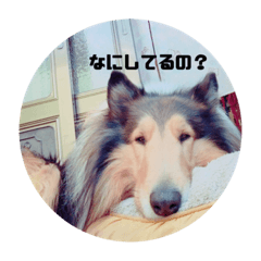 ai_20211213075624