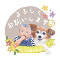 tanuki_20211213121355